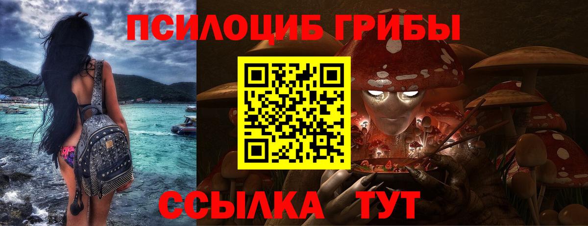 Галлюциногенные грибы Psilocybine cubensis Донской